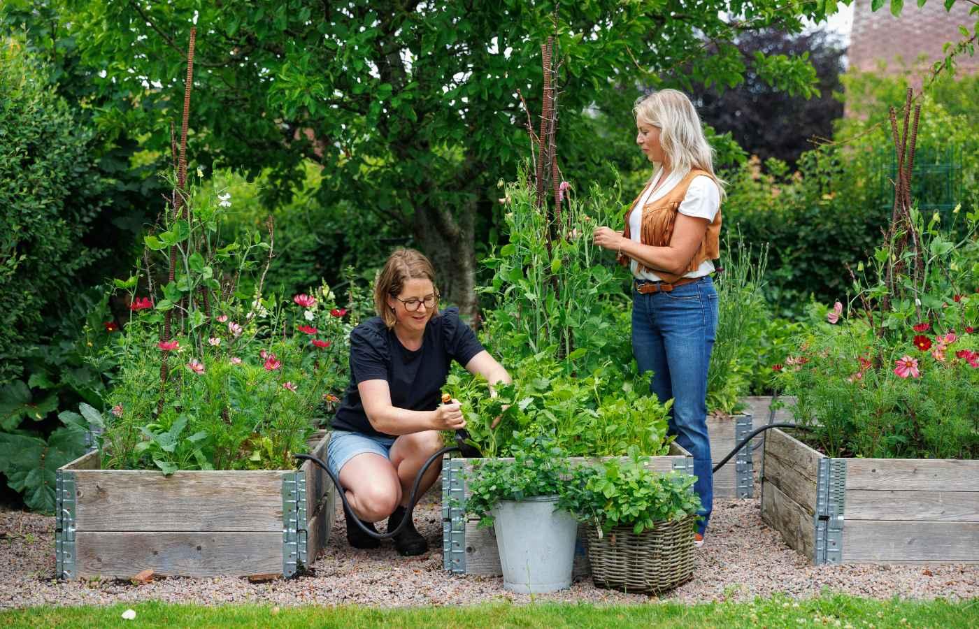 Podd Hanna Rebecca Tradgardsliv Odling