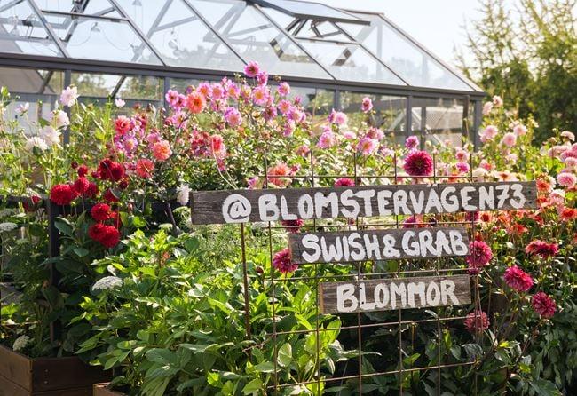 blomstervagen73_73.jpg